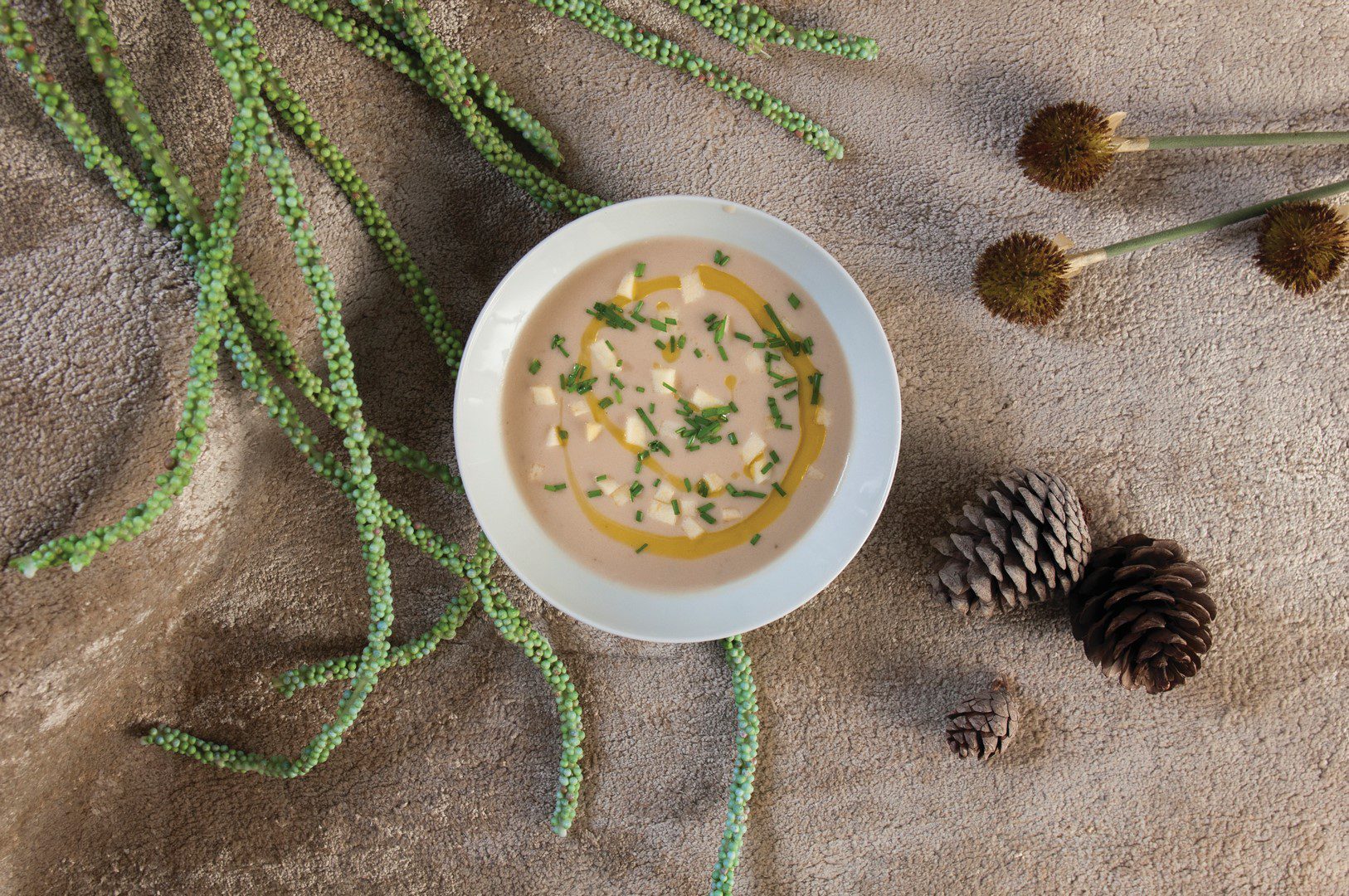 Cheddar and Ale soup - Served